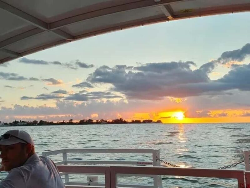 Anna Maria Island: Sunset Dolphin Cruise - What to Bring and Tips for a Great Experience