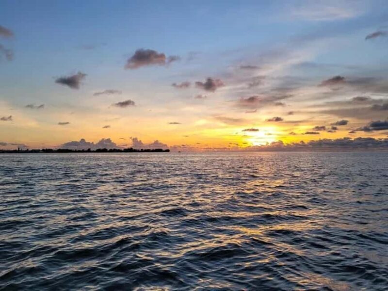Anna Maria Island: Sunset Dolphin Cruise - Final Thoughts