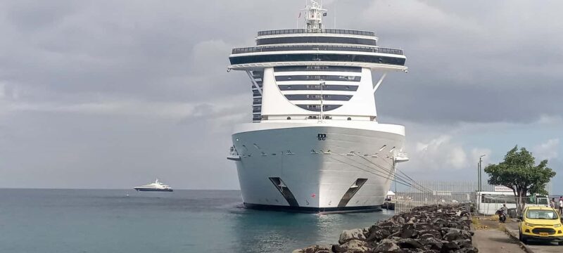 Annandale waterfall & Forest Park - Why This Tour Is Worth Considering