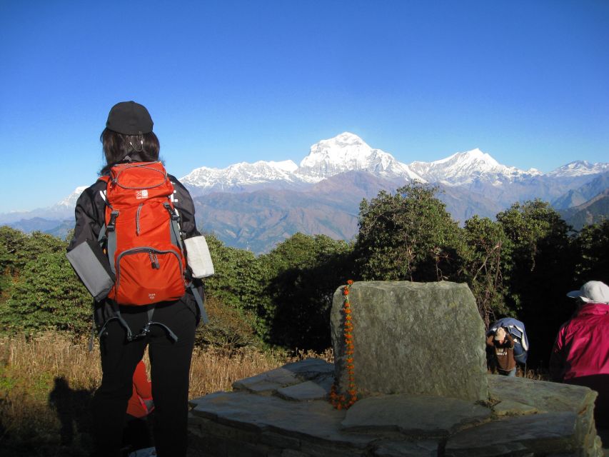Annapurna - 4 Days Poon Hill Trek From Pokhara. - Detailed Itinerary