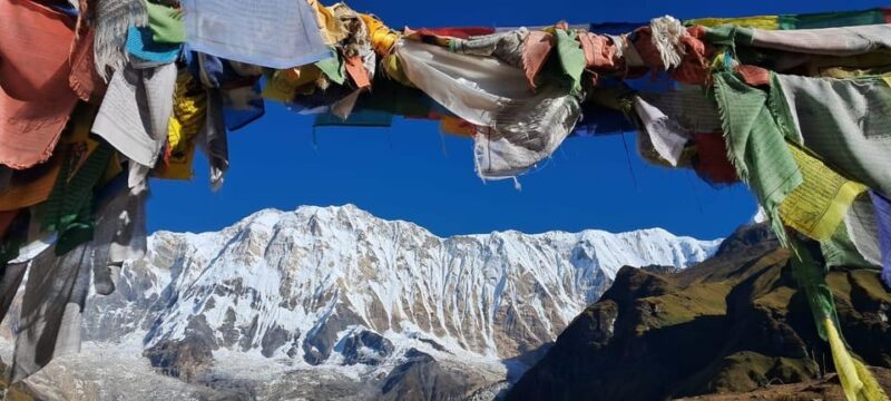 Annapurna Base Camp : 7-Day Moderate Round Trek. - Accommodations and Meals