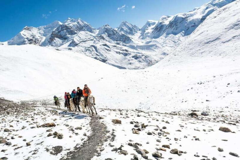 Annapurna Base Camp trek 4 days - The Itinerary in Detail: What to Expect Each Day