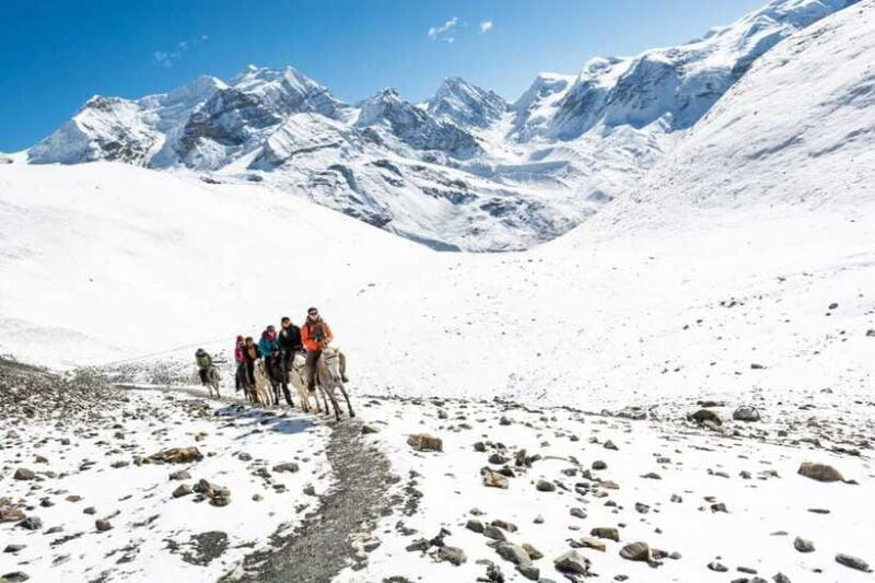 Annapurna Base Camp trek 4 days - Why This Trek Is a Great Choice