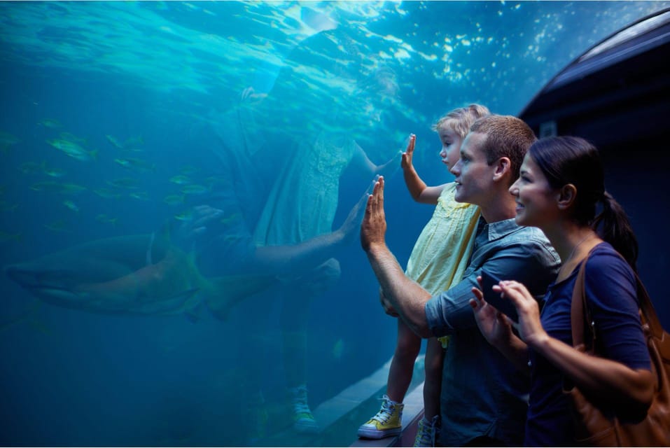 Antalya: Aquarium and Wax Museum Entry Ticket - Key Points