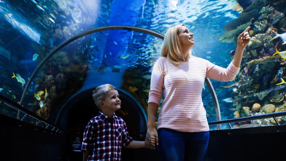 Antalya: Aquarium and Wax Museum Entry Ticket - Additional Attractions and Options