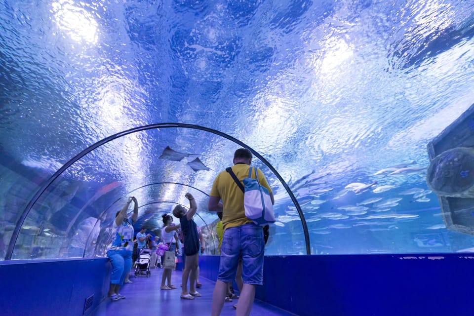 Antalya: Aquarium and Wax Museum Entry Ticket - Price and Value Analysis