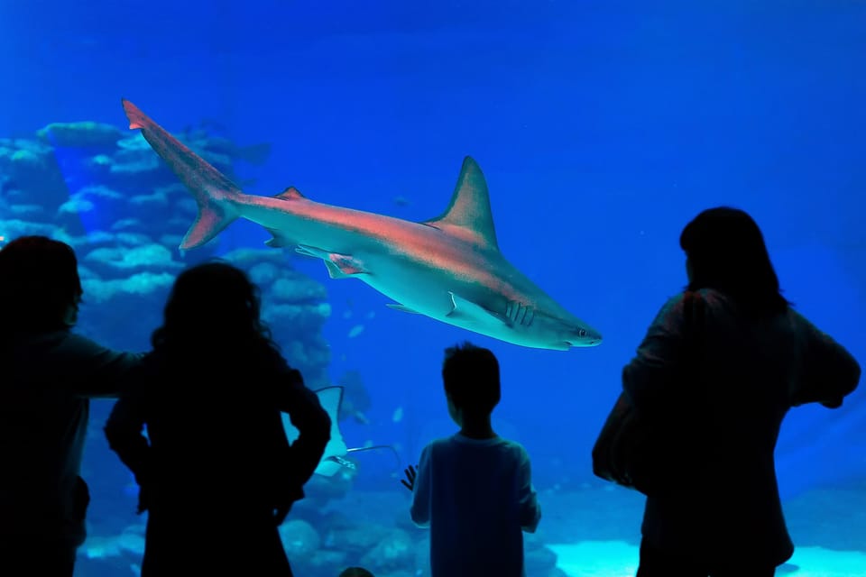 Antalya: Aquarium and Wax Museum Entry Ticket - The Sum Up