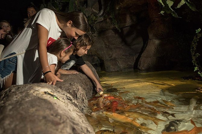 Antalya Aquarium Tour Platinium Tour - Booking Process