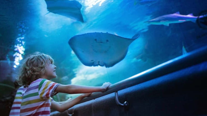 Antalya: Aquarium, Wax Museum, Snow World, Wild Park - Key Points