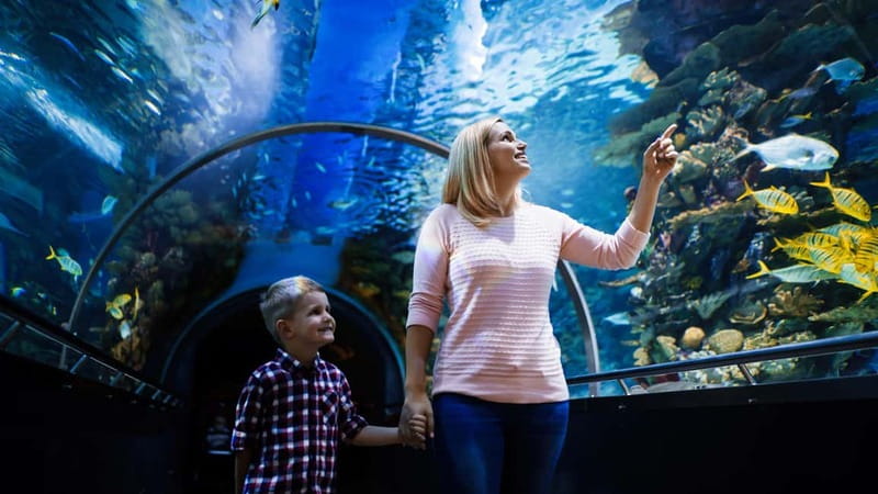 Antalya: Aquarium, Wax Museum, Snow World, Wild Park - Authentic Visitor Experiences