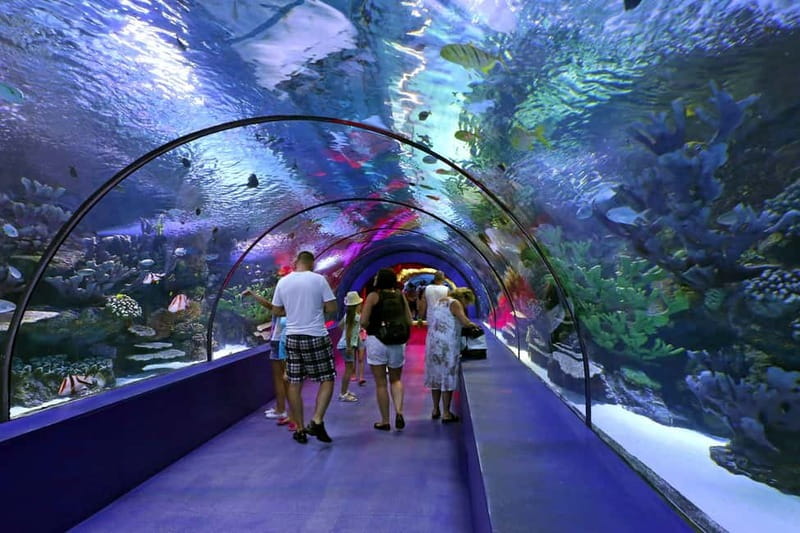 Antalya: Aquarium, Wax Museum, Snow World, Wild Park - The Sum Up