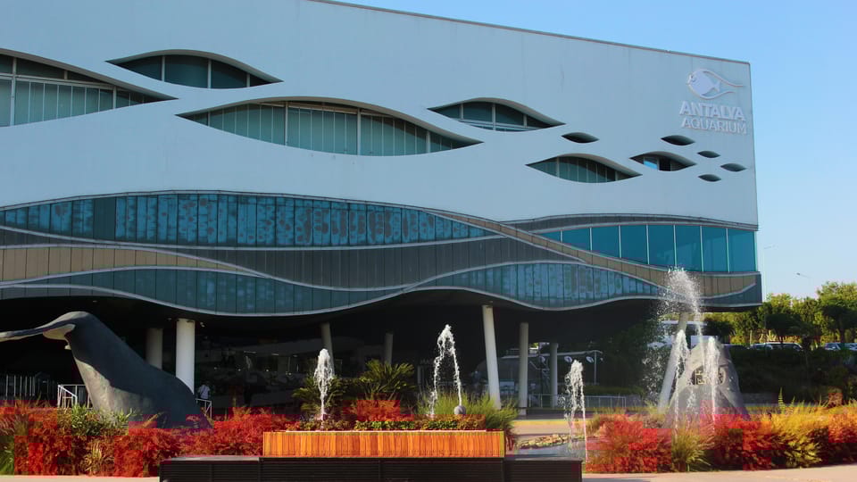 Antalya: Aquarium, Wax Museum, Snow World, Wild Park - Discovering Antalya’s Aquarium: The Ocean’s Largest Showcase