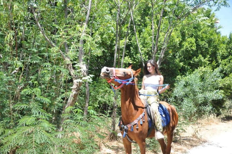 Antalya: Deniz Molal At Safarisi - What to Expect at This Horse Safari