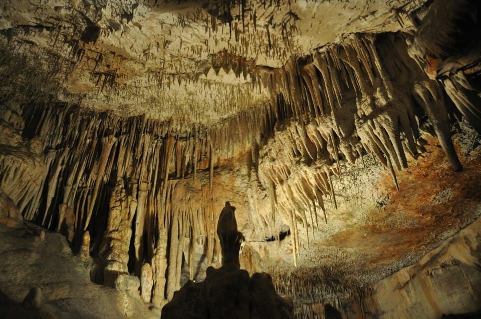 Antalya: Enhanting SpaghettiCave/natural animal figures - Who Should Consider This Tour