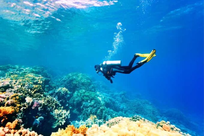 Antalya Exotic & Colourful Diving Tour - Frequently Asked Questions