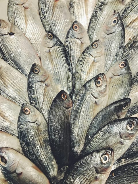 Antalya: Fishing by Yacht - Considerations and Practical Tips
