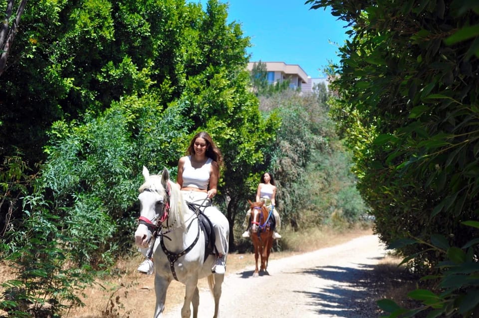 Antalya: Horseback Riding on the Beach and in the Forest - Who Will Love This Experience?
