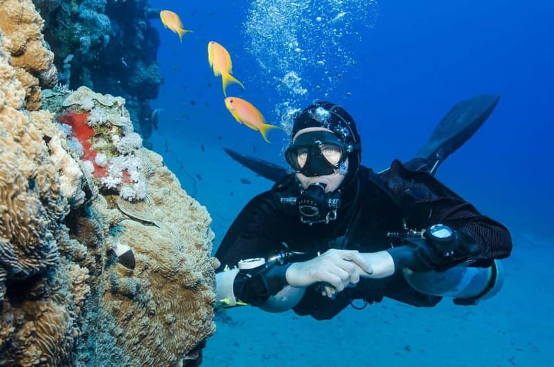 Antalya/Kemer: Scuba Diving Experience with 2 Dives & Lunch - The Experience: What You’ll Actually Feel
