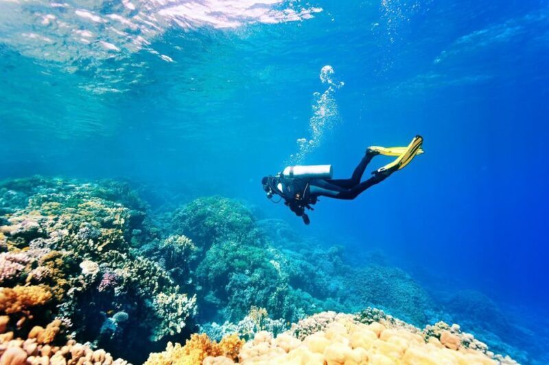 Antalya/Kemer: Scuba Diving Experience with 2 Dives & Lunch - Who Is This Tour Best For?