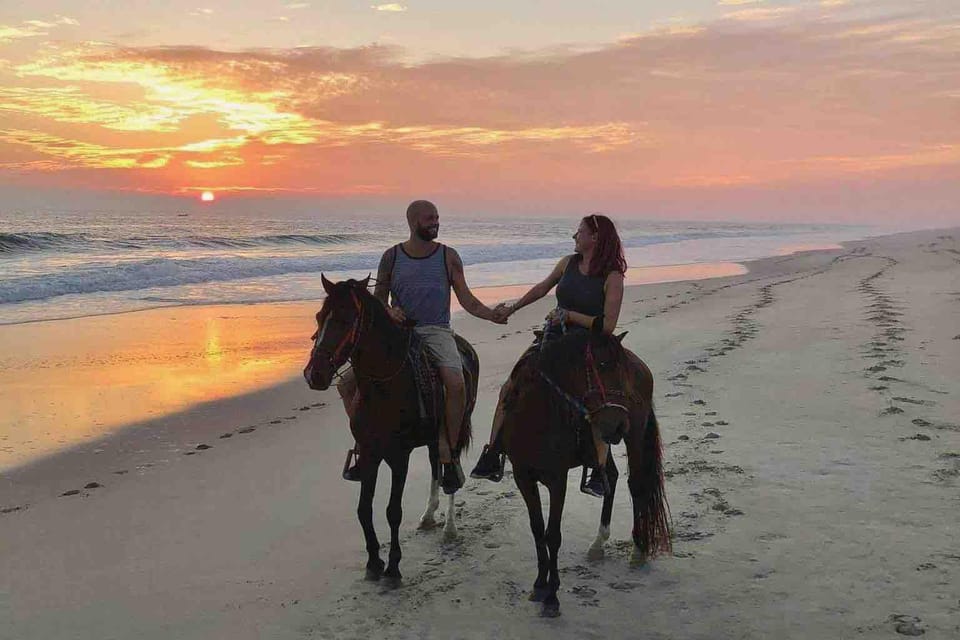 Antalya: Lara Beach & Forrest Horse Riding Safari - The Itinerary: What to Expect