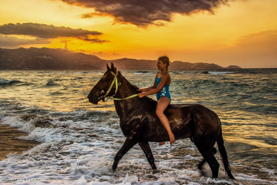Antalya: Lara Beach & Forrest Horse Riding Safari - The Authentic Experience and Who It Suits