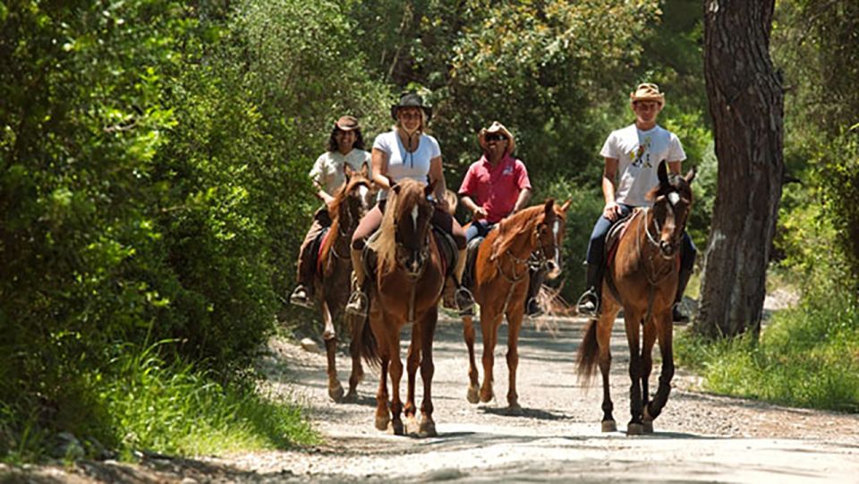 Antalya: Lara Beach & Forrest Horse Riding Safari - The Sum Up