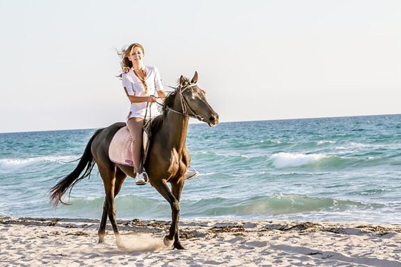 Antalya: Lara Beach & Forrest Horse Riding Safari - Key Points