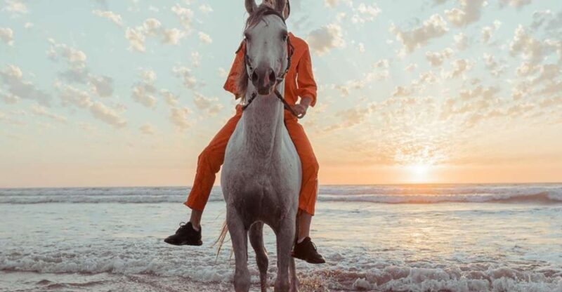 Antalya: Lara Beach & Forrest Horse Riding Safari - Whats Included in the Tour