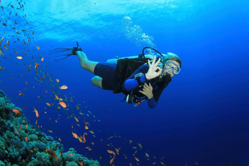 Antalya Scuba Diving Adventure with Expert Diver Option - What the Tour Offers