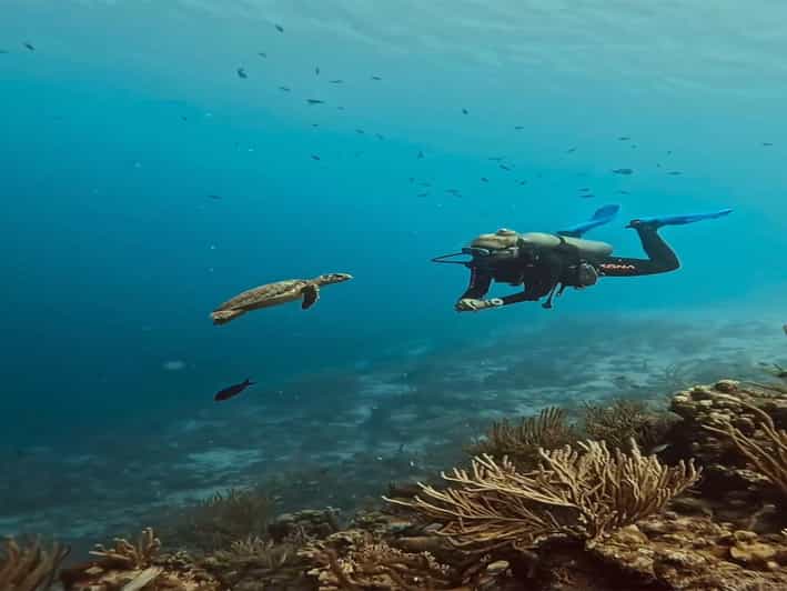 Antalya, Side and Alanya: Scuba Diving with Lunch & 2 Dives - Exploring the Antalya, Side, and Alanya Scuba Tour: A Complete Review