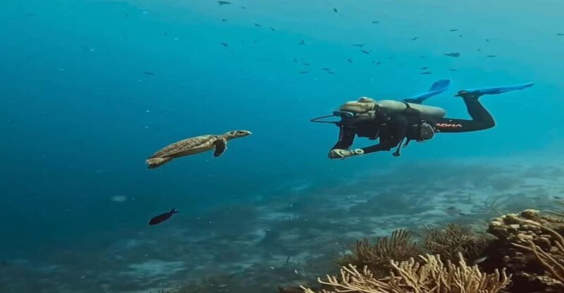 Antalya, Side and Alanya: Scuba Diving with Lunch & 2 Dives - Authentic Underwater Encounters and Scenic Views