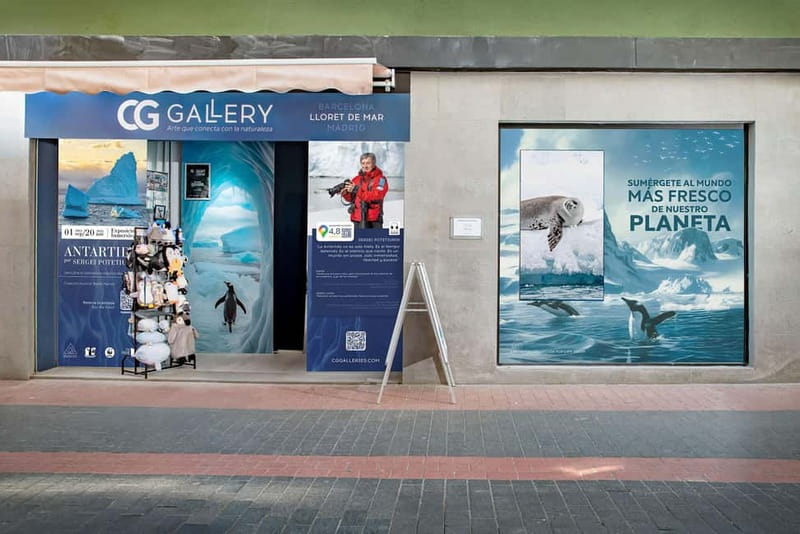 Antarctica Interactive Experience - An In-Depth Look at the Antarctica Interactive Experience