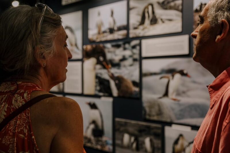 Antarctica Interactive Experience - Exclusive Exhibition of Antarctica