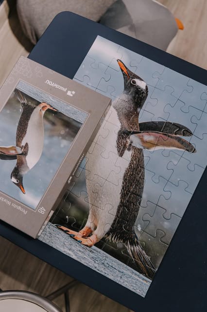 Antarctica Interactive Experience - Immersive Audio Guide Experience
