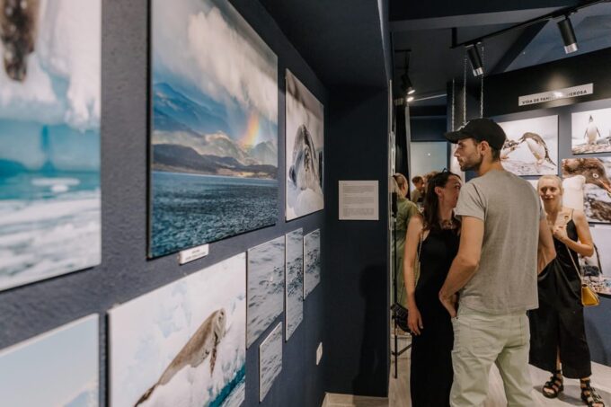Antarctica Interactive Experience - Duration and Location Details