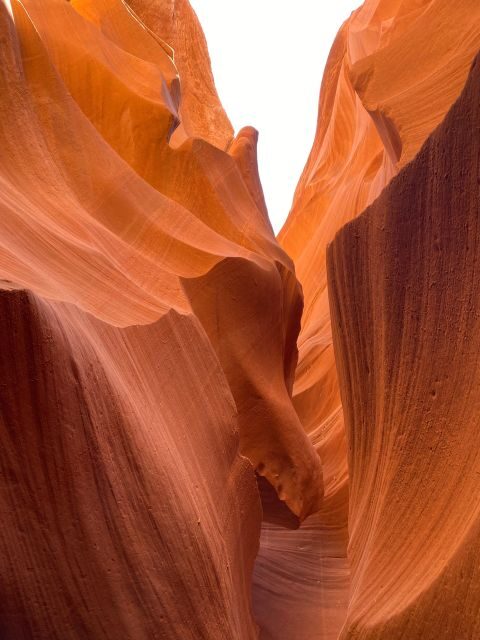 Antelope Canyon and Horseshoe Bend Day Tour from Las Vegas - The Sum Up