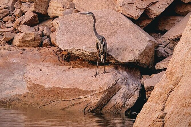 Antelope Canyon/Lake Powell Kayak Rentals: Self-Guided Adventures - Final Thoughts