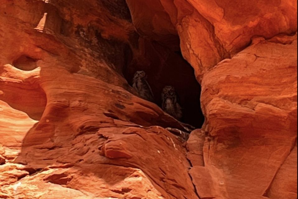 Antelope Canyon: Owl Canyon Guided Hiking Tour - Tour Itinerary