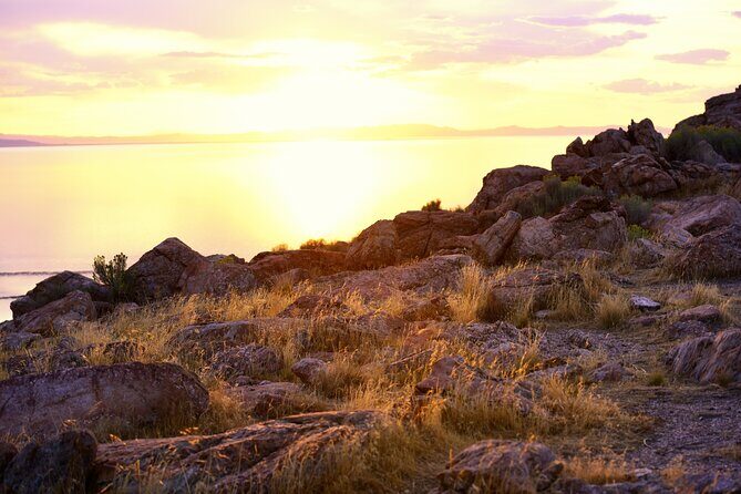 Antelope Island Sunset Wildlife Expedition Great Salt Lake Tour - Final Thoughts