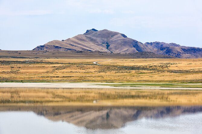 Antelope Island Wildlife Expedition Great Salt Lake Adventure - The Itinerary in Detail