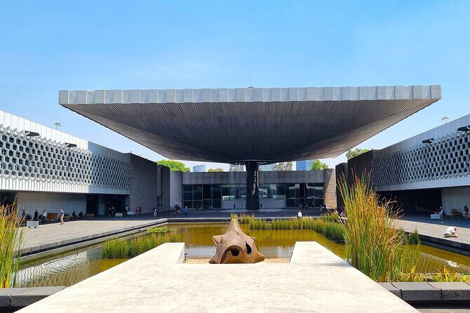 Anthropology Museum Early Access Tour - An Introduction to the Anthropology Museum Early Access Tour