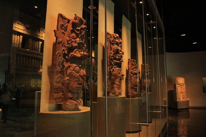 Anthropology Museum Early Access Tour - What Makes This Tour Special?