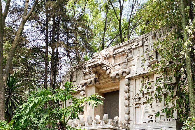 Anthropology Museum Early Access Tour - Practical Tips for Your Visit