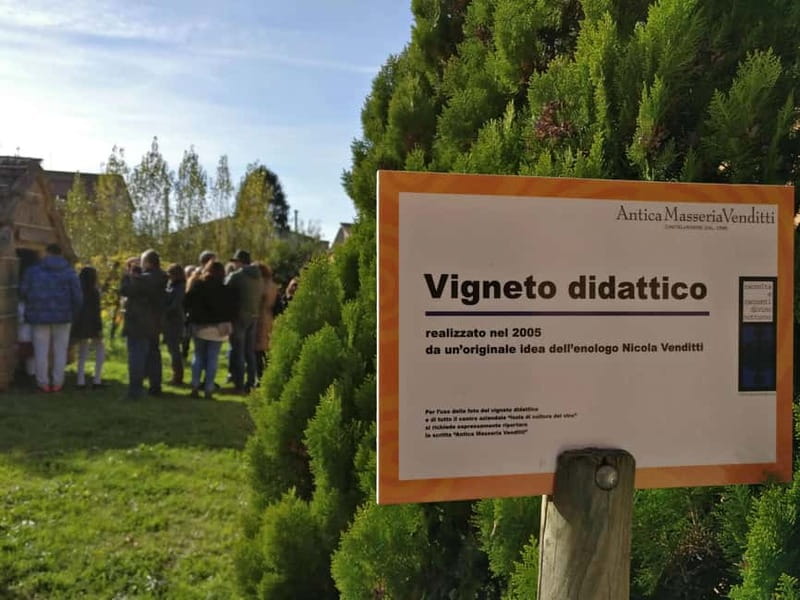 Antica Masseria Venditti: guided visit to the winery with wine tasting - An Authentic Taste of Sannio: What This Tour Offers