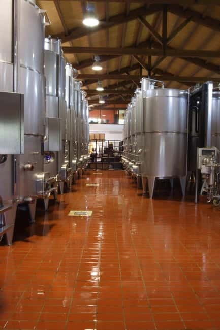 Antica Masseria Venditti: guided visit to the winery with wine tasting - Practical Details and Considerations