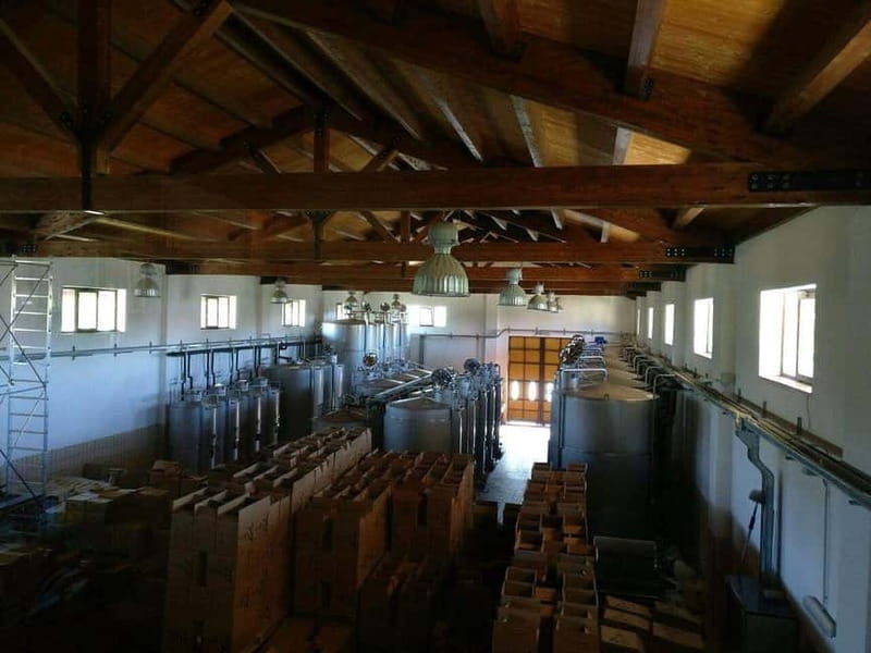 Antica Masseria Venditti: guided visit to the winery with wine tasting - FAQs