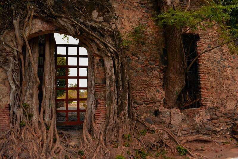 Antigua and Cempoala Tour from Veracruz - Key Points