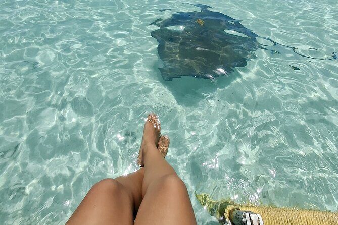 ANTIGUA FROM TOP TO BOTTOM: Stingray City, Beach, lunch & more... - A Full Day of Antigua’s Highlights