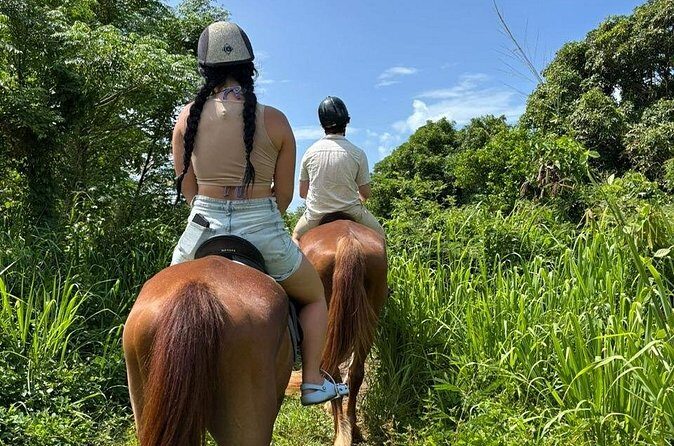 Antigua Horse Ride and Swim - The Sea Swim: A Unique Bonding Moment