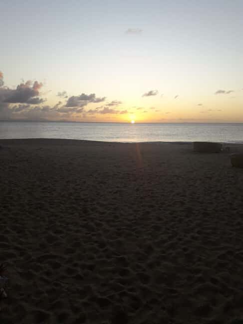 Antigua: Horseback Riding at Royalton or Dickenson Bay - An In-Depth Look at the Horseback Riding Experience in Antigua